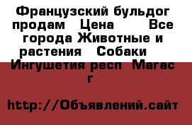 Французский бульдог продам › Цена ­ 1 - Все города Животные и растения » Собаки   . Ингушетия респ.,Магас г.